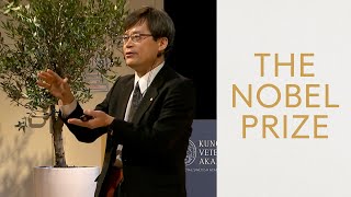 Hiroshi Amano Nobel Prize in Physics 2014 Nobel Lecture [upl. by Assile659]