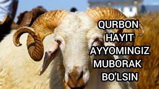 quotBarakallohquot nasheed Qurbon Hayit tabriklariQurbon Hayit ayyomi muborak bolsin [upl. by Enimajneb224]