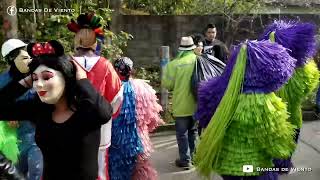 Banda La Cabaña en las calles del Carnaval de Tenango de Doria 2023 El Pistolero [upl. by Eanyl]