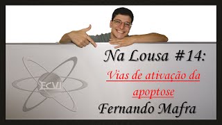 Na lousa 14 via de ativação da apoptose [upl. by Bara597]