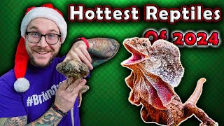 Top 5 Newly Popular Reptiles That Will BLOW UP in 2024 [upl. by Jennifer]