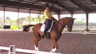 Collecting the Canter with Debbie McDonald [upl. by Nirrej]