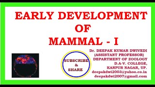 EARLY DEVELOPMENT OF MAMMAL PARTI [upl. by Tommy]