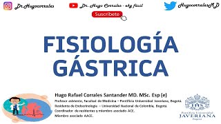 Fisiología del estómago funciones gástricas [upl. by Ybroc]