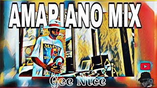 Gee Nice Amapiano Mix  Lets go brother  Government  Stance Music [upl. by Eve145]