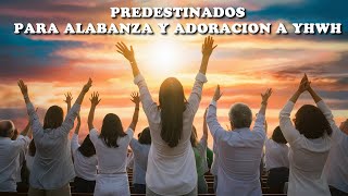 PREDESTINADOS PARA ALBANZA Y ADORACION DE YHWH [upl. by Enneyehc679]