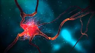 Muscle Spasms Binaural Beats Brainwave Entrainment [upl. by Convery]