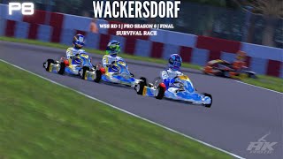 WSS RD 1 S6  WACKERSDORF  FINAL  START CRASH [upl. by Beacham]