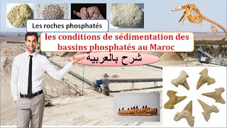 les conditions de sédimentation des bassins phosphatés au Maroc شرح بالعربية [upl. by Tamma]