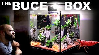 The Buce Box ALL IN ONE Shrimp Cube Aquarium [upl. by Albright]