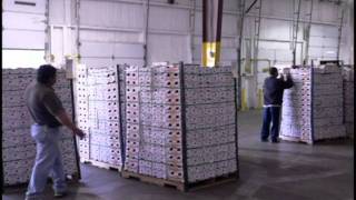 Mango Warehouse Training Video [upl. by Fabiano]