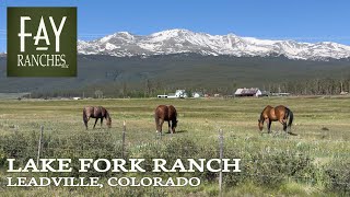 Colorado Ranch For Sale  Lake Fork Ranch  Leadville Colorado [upl. by Cletis849]