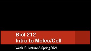 CSULB Spring 2024 Biol 212  Week 10 Lecture 2 [upl. by Digirb]