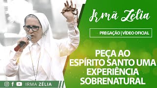 Ir Zélia  Peça ao Espírito Santo uma experiência sobrenatural [upl. by Neelyt699]