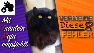 🔥8 Katzen Tipps  Vermeide unsere 8 Fehler  Mit Fräulein Maja empfiehlt  Tipps zur Katzenhaltung [upl. by Marlene]