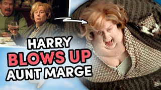 Harry Potter Gets Revenge On Aunt Marge  Prisoner of Azkaban [upl. by Nonnair40]