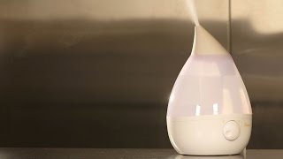 Humidifier Buying Guide Interactive Video  Consumer Reports [upl. by Winwaloe]