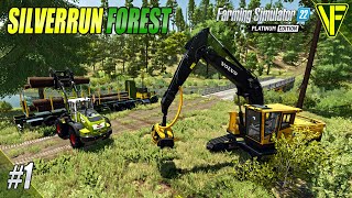 Setting Up In A NEW Place  Silverrun Forest  Farming Simulator 22 [upl. by Neeloj76]