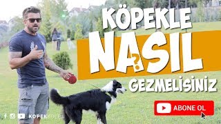 Köpekle Nasıl Gezinti Yapmalısınız [upl. by Wit]