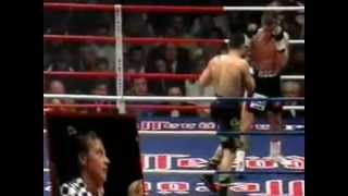 Graciano Rocchigiani vs Dariusz Michalczewski I 13 [upl. by Yaf]