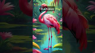 Flamingo [upl. by Leidba]