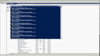 How to issue the vssadmin command in any server for successful backup [upl. by Yeknarf173]