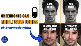 How the Cheekbones Affects Your Facial Attractiveness  blackpill [upl. by Astri221]