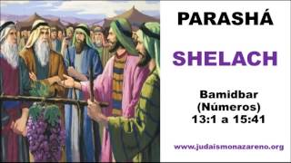 Parashat SHELACH  Judaísmo Nazareno [upl. by Lewendal]