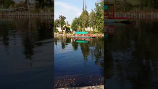 Xochimilco Mexico City [upl. by Donough179]