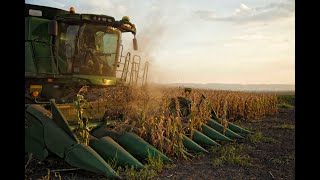 Farming in South Africa  The Harvest Filmed entirely with the Phantom 4 Pro Drone [upl. by Yramesor]