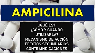 🔴 AMPICILINA  PARA QUÉ SIRVE EFECTOS SECUNDARIOS MECANISMO DE ACCIÓN Y CONTRAINDICACIONES [upl. by Ogilvie610]