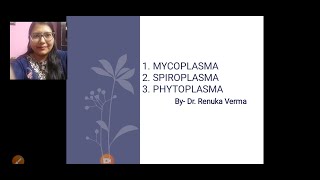 Mycoplasma Phytoplasma Spiroplasma मायकोप्लाज्मा फायटोप्लाज्मा तथा स्पाइरोप्लाज्मा [upl. by Aryek181]