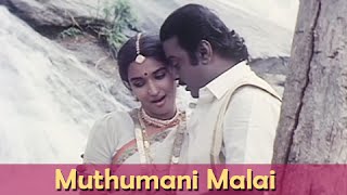 Muthumani Malai  Vijaykanth Sukanya  Chinna Gounder  Ilaiyaraja Hits  Super Hit Romantic Song [upl. by Jelle816]