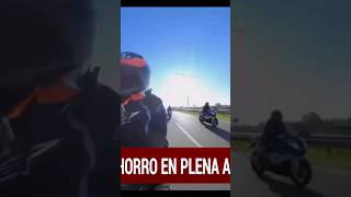 Salir en moto por Panamericana PASA ESTO MOTOCHORROS [upl. by Acsehcnarf354]