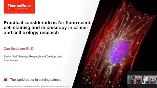 Practical considerations for fluorescent cell staining amp microscopy in cancer cell biology research [upl. by Eusassilem]