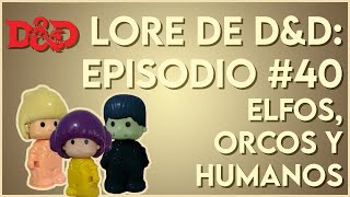 📚 Lore de DampD 🗺️ Episodio 40 Razas de Faerûn Parte 2 Elfos Orcos y Humanos [upl. by Rollins667]