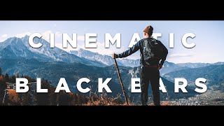 How to ADD Cinematic BLACK BARS in PREMIERE PRO 2020 the RIGHT WAY [upl. by Seve]