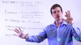 Types of Catalysis [upl. by Denys606]