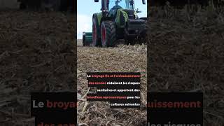 Fautil opter pour l’ensilage de maïs épi [upl. by Netsrak]