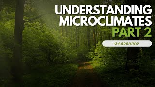 Understanding Microclimates In Your Garden PART 2 [upl. by Gizela]