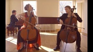 Allegro from Concerto in G Minor for Two Cellos RV 531 by A Vivaldi [upl. by Ennaitsirk212]