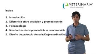 Premedicación anestésica y preparación del paciente  Demo curso anestesia veterinaria [upl. by Hselin]