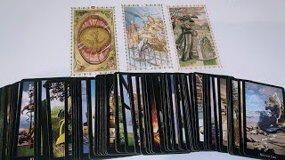 🚩⏰ No să crezi🥰❗ TREBUIE să auzi asta A C U M 🔺 tarot 🔺 mesaj atemporal 🔺 [upl. by Jolie]