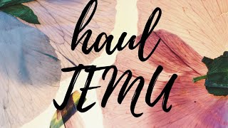 Haul TEMU [upl. by Blinny]