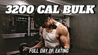 My 3200 Calorie Bulking Diet at 160 BW [upl. by Arick510]