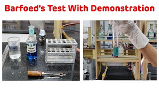 Barofoeds Test With Demonstration  Barfoeds Test For Carbohydrates [upl. by Mutat]