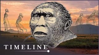 The Discovery Of The Earliest Human Ancestor  First Human  Timeline [upl. by Nissensohn]