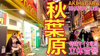 【4K立体音響】秋葉原 電気街 20231006 akihabara tokyo walk GoProHero12 [upl. by Leonerd761]