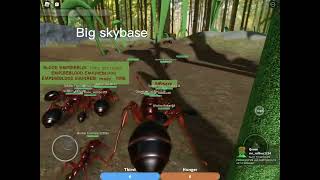 Epic ant war in roblox ant life beta testing [upl. by Deana]