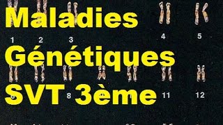 Les maladies génétiques  SVT 3ème [upl. by Atalanti463]